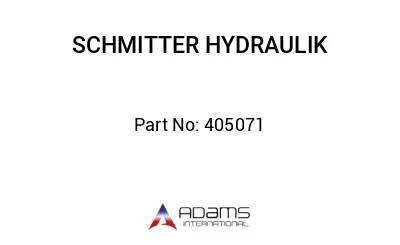 405071 405071