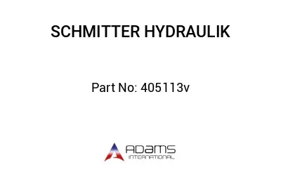 405113v 405113v