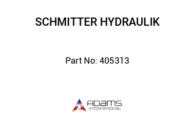 405313 405313