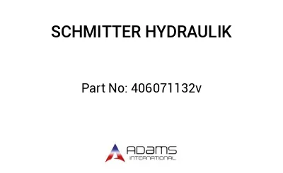 406071132v 406071132v