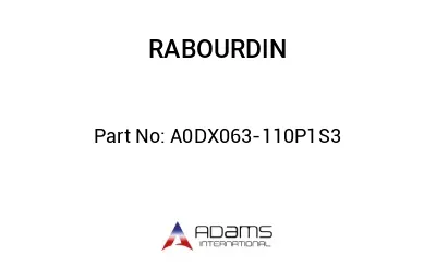 A0DX063-110P1S3